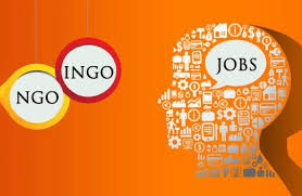 NGO/INGO & Development Sector